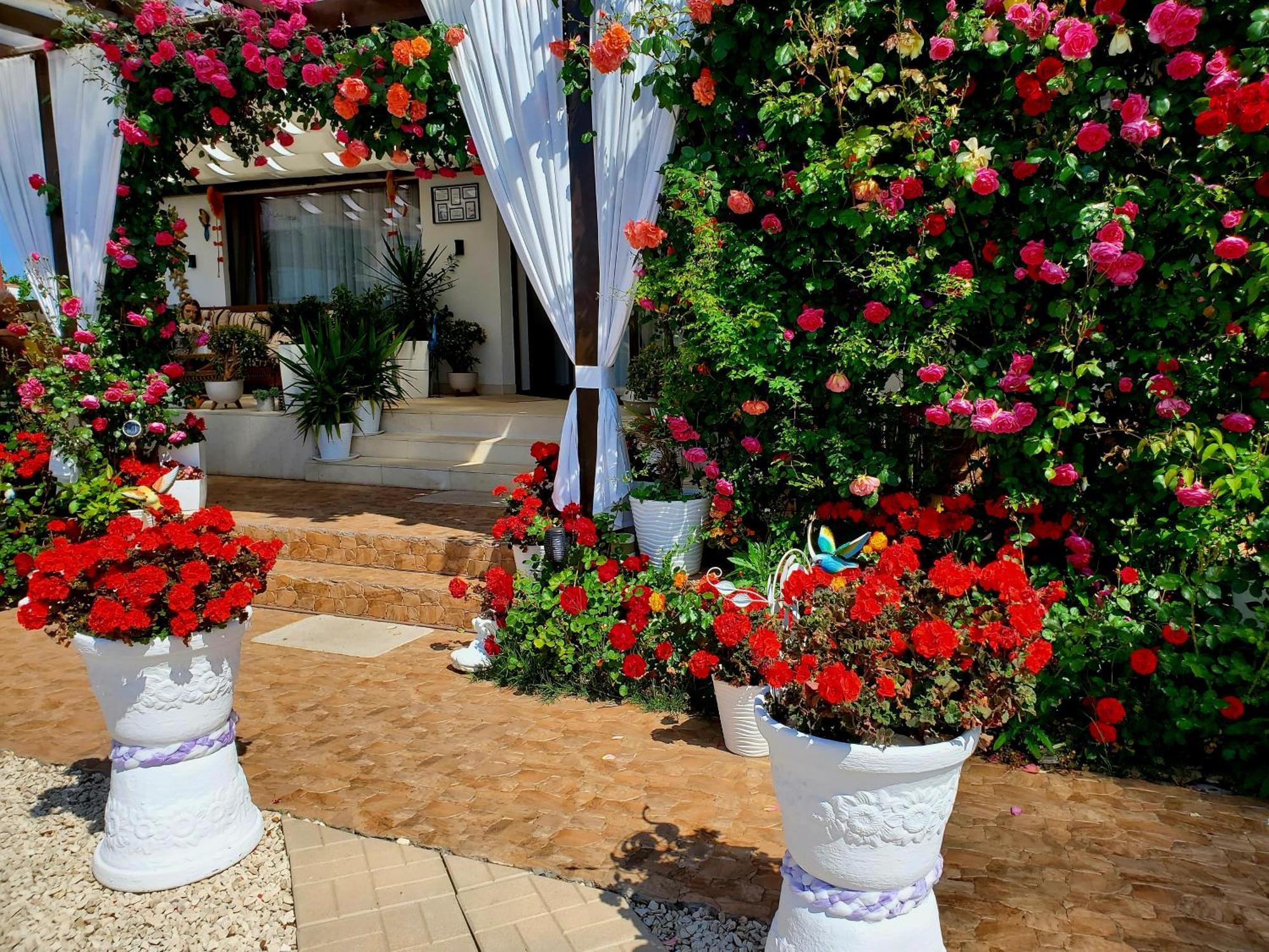 Casa Ok By Ovo Hotel Vama Veche Exterior foto