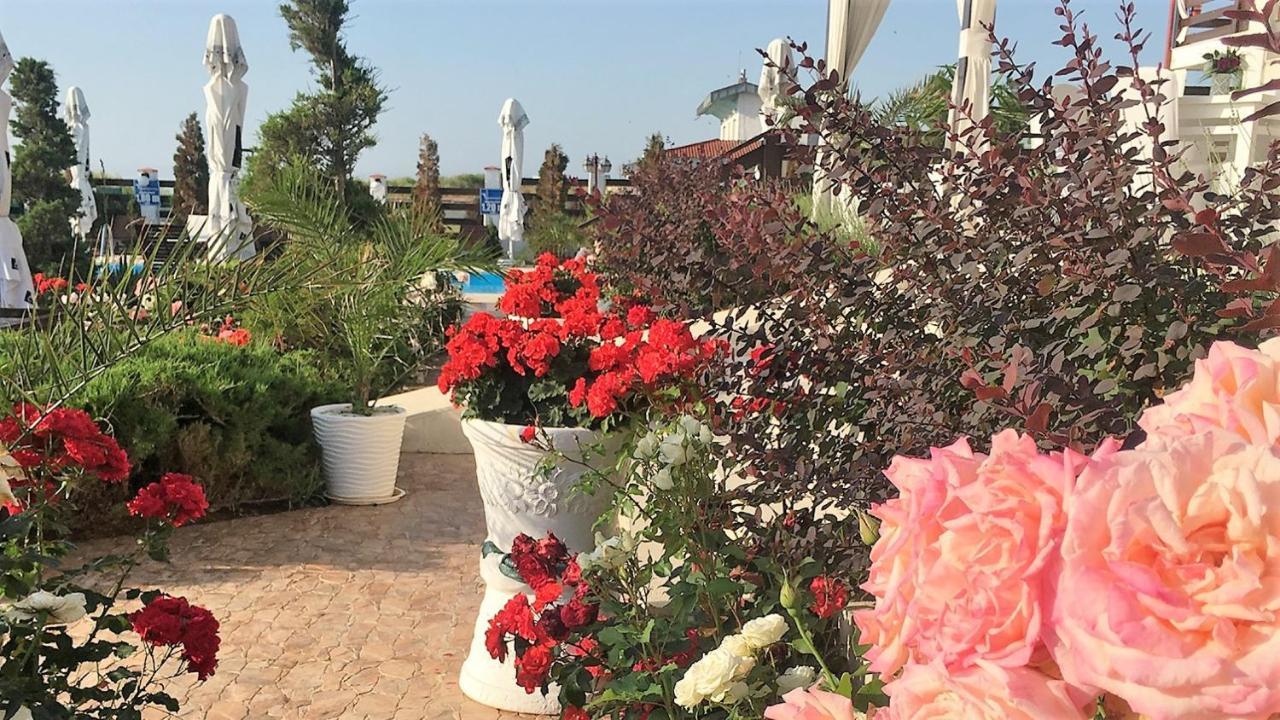 Casa Ok By Ovo Hotel Vama Veche Exterior foto